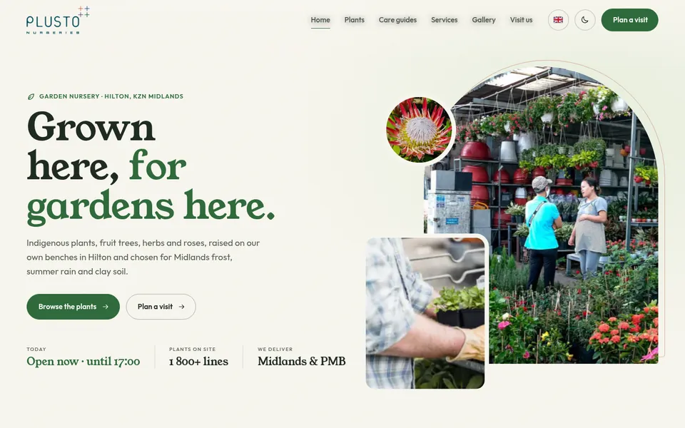 Wild Fig Nursery example website for nurseries